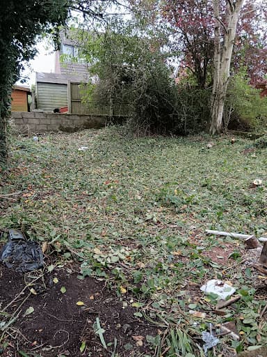 STOKE TREE SURGEON — Customer photo