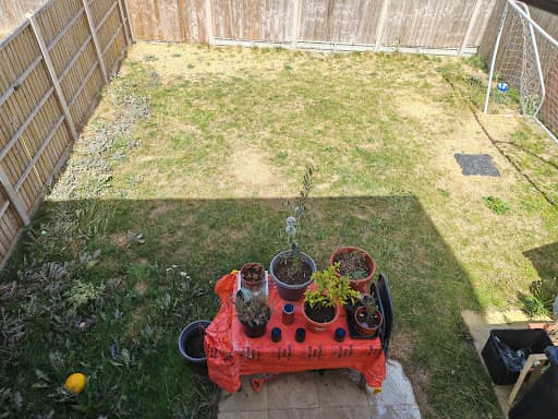 Gardenia Landscaping — Customer photo