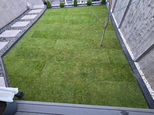 D&C Lawn Turf & Landscape Specialists — Customer photo