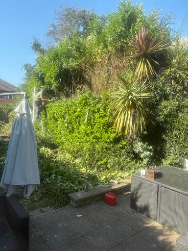 Green Gardening & Landscaping Services Bournemouth — Customer photo