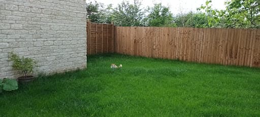 David Goodwin landscaping & tree care. — Customer photo