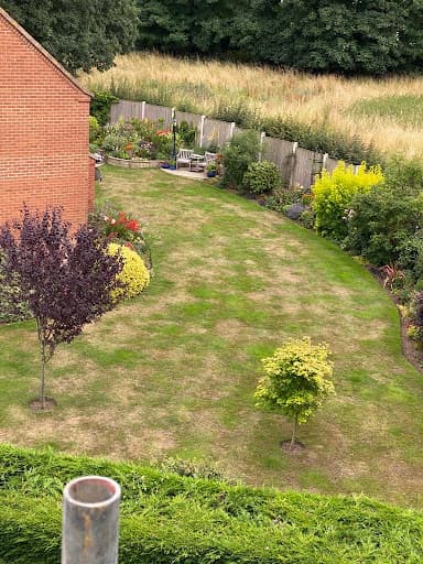 Will's Norfolk Lawns Limited — Customer photo