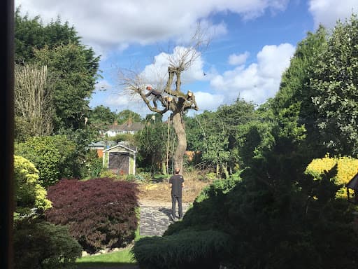 Able Tree Services | Liverpool — Customer photo