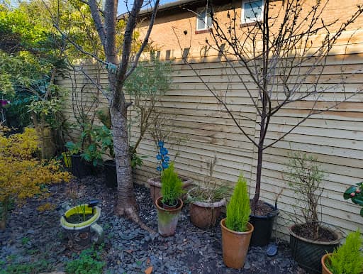 Maslinjones Ltd — Customer photo