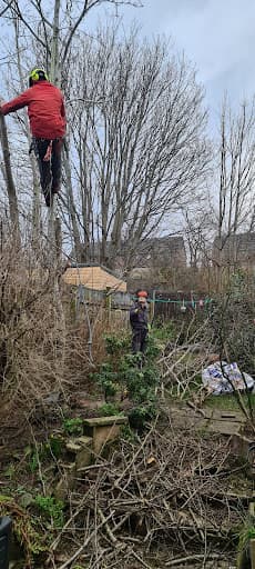 Stevenson Tree Care — Customer photo