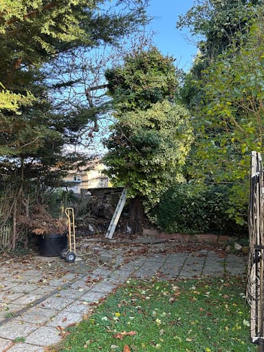 GPB Trees & Landscapes — Customer photo