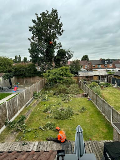 Herring Trees & Landscaping — Customer photo