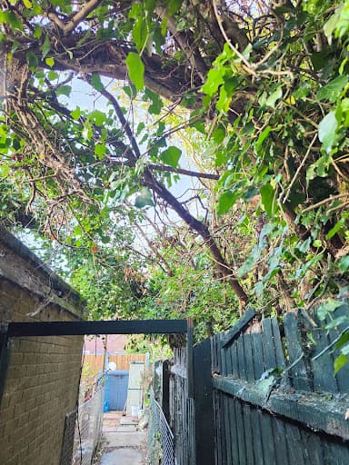Freemans Tree Care Specialist — Customer photo