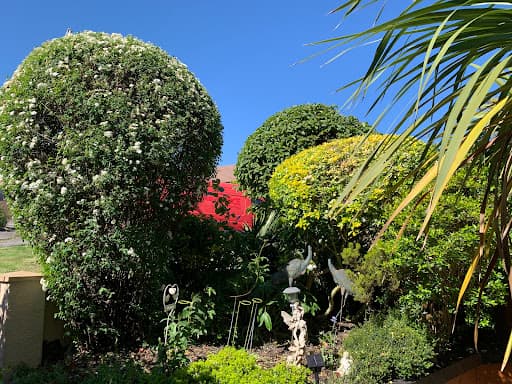 Tidy Gardeners Bristol — Customer photo