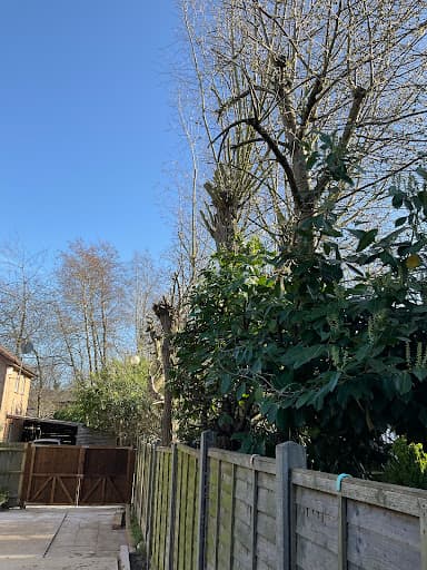 Firwood Tree & Garden Services Ltd — Customer photo