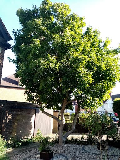 Branching Out Oxford — Customer photo