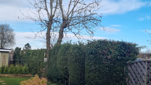 Browns Tree Solutions Ltd — Customer photo