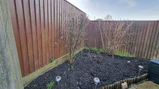 The Cambridge Gardener — Customer photo