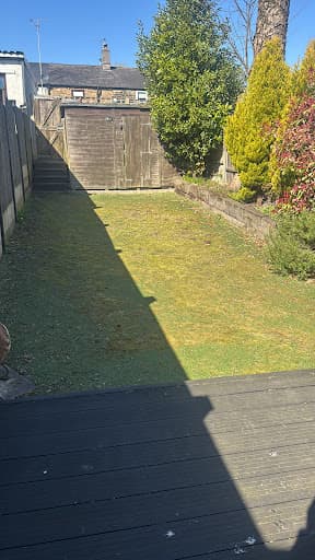 Northwest artificial grass cleaning — Customer photo