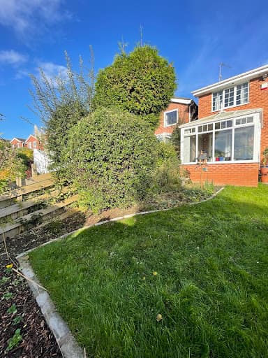 Low Cost Tree Surgeons — Customer photo