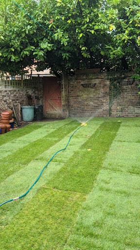 Lawn Supreme — Customer photo