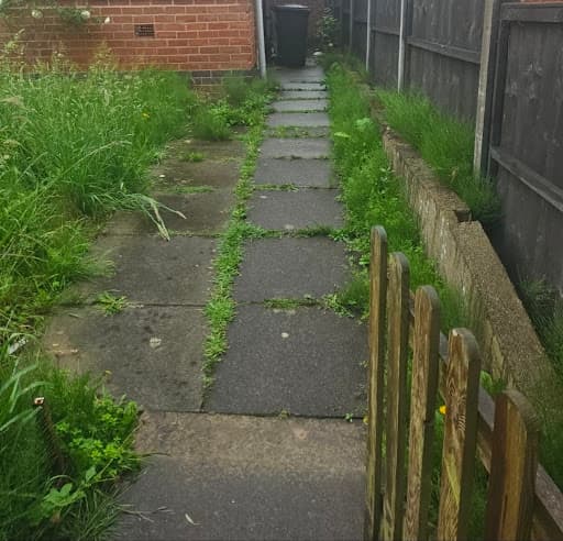 MMA Garden Services — Customer photo