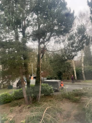 ACCESS TREE CARE — Customer photo
