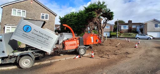 The Tree Surgery Company Ltd — Customer photo