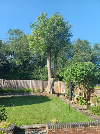 G M Frazer Tree Surgery Ltd — Customer photo