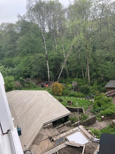 Gower Tree Work Specialists Ltd — Customer photo