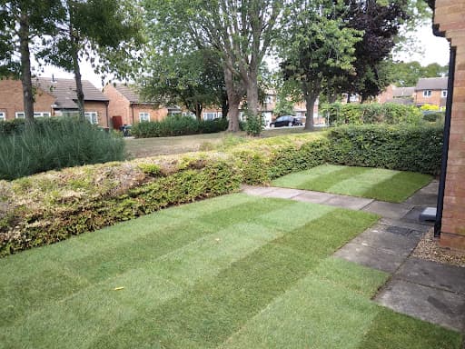 Maslinjones Ltd — Customer photo