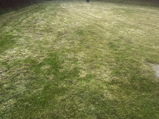 GreenThumb Northern Ireland — Customer photo