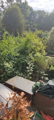 Urban Gardeners South East London — Customer photo