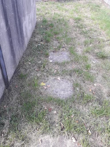 Peppermint gardening services — Customer photo
