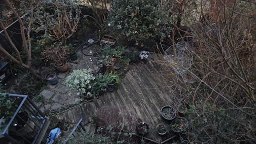 Bristol Garden Maintenance — Customer photo