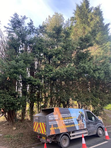 ACCESS TREE CARE — Customer photo