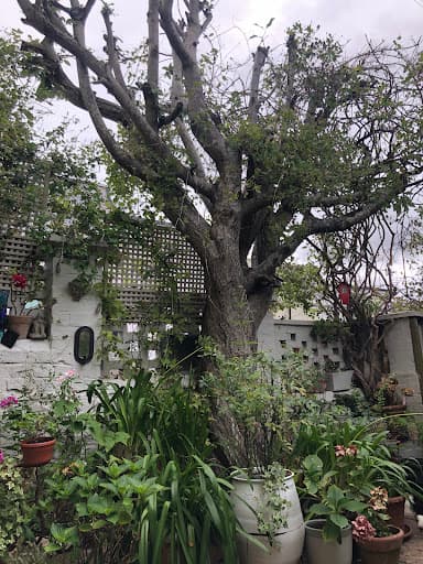 Wildwood Treecare — Customer photo