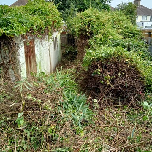 Oxford Community Gardeners — Customer photo