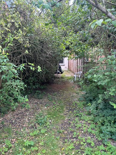 Poppies Trees and Hedges — Customer photo