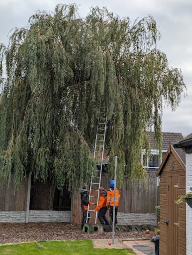 Yorkshire Tree Surgery — Customer photo
