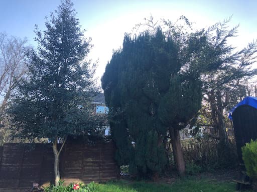 EH Landscaping & Tree Services — Customer photo