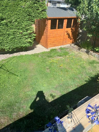 TruGreen Hampshire, Waterside & New Forest — Customer photo