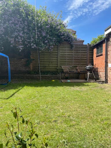 Trident Tree Works - York Tree Surgeons — Customer photo