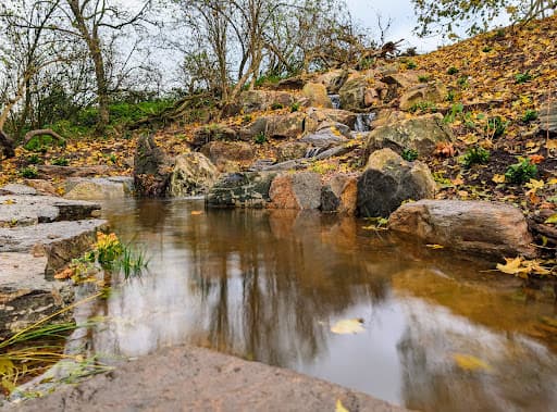 Shade Water Gardens — Customer photo