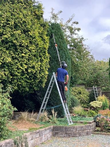 Low Cost Tree Surgeons — Customer photo