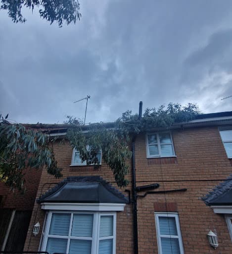Small’s Tree Surgery Ltd — Customer photo