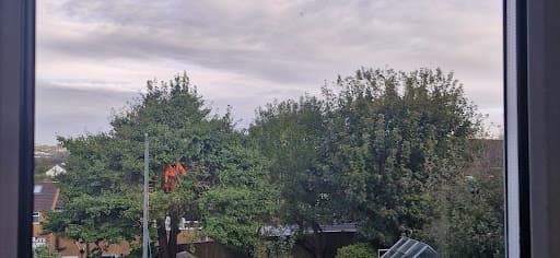 C & H Tree Surgery — Customer photo