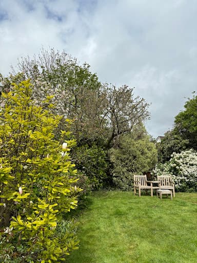 Wildwood Treecare — Customer photo