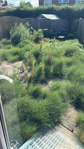 CleanCuts Lawn Kings • Gardeners Manchester — Customer photo