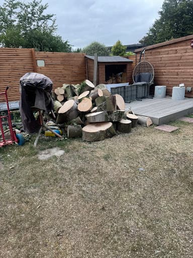 ACCESS TREE CARE — Customer photo