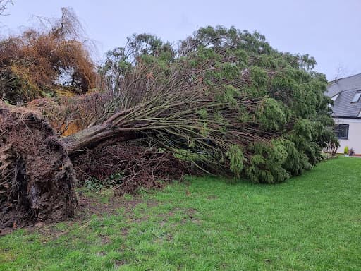 Firwood Tree & Garden Services Ltd — Customer photo