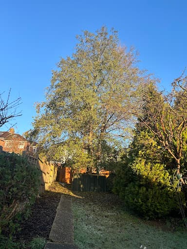 GPB Trees & Landscapes — Customer photo