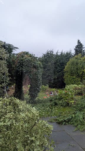 S.M. Tree Services NE — Customer photo