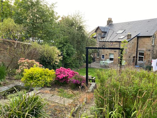 Cathcart Tree Surgeons — Customer photo