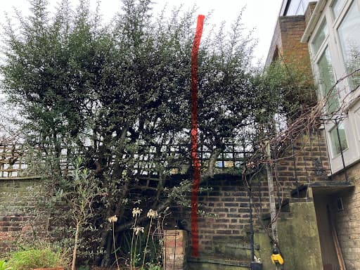 West London Gardeners — Customer photo
